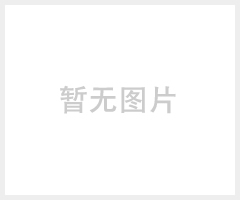 皇诺KS-S2463智能手机
